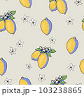 Summer garden lemon fruit seamless pattern with flowers, bright texture 103238865