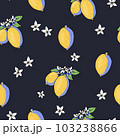 Summer garden lemon fruit seamless pattern with flowers, bright texture 103238866