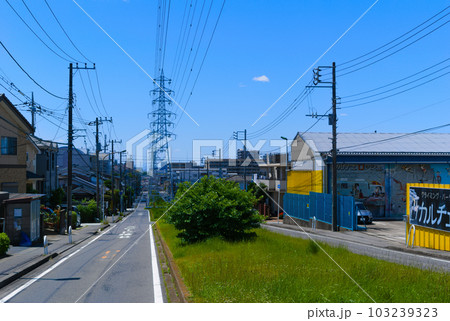千葉県松戸市二ツ木の風景2023年5月 103239323