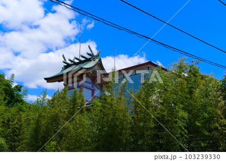 千葉県松戸市蘇羽鷹神社周辺2023年5月 千葉県松戸市蘇羽鷹神社周辺2023年5月 103239330