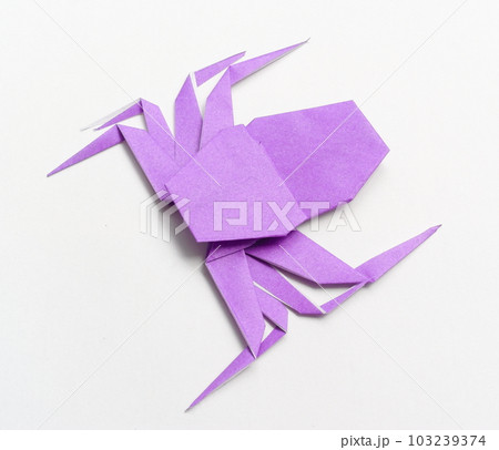 折紙の蜘蛛 103239374