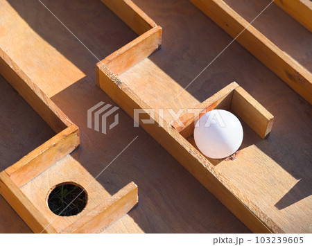 Vintage Wooden Maze Ball Game Vintage Wooden Maze Ball Game 103239605