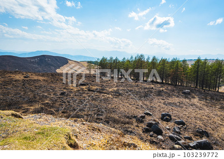 山火事の跡【霧ヶ峰高原】 103239772