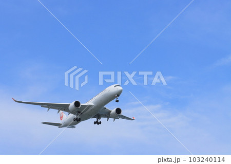 空の旅　青空に上昇する旅客機 103240114