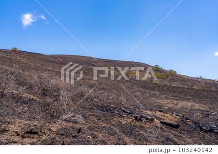 【災害イメージ】霧ケ峰高原の山火事跡【長野県】 【災害イメージ】霧ケ峰高原の山火事跡【長野県】 103240142