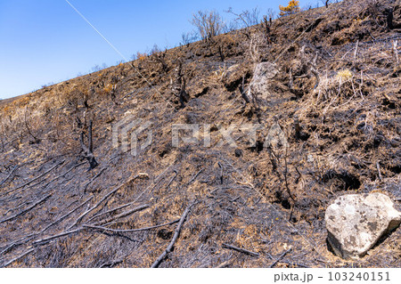 【災害イメージ】霧ケ峰高原の山火事跡【長野県】 103240151
