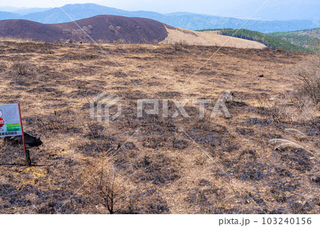【災害イメージ】霧ケ峰高原の山火事跡【長野県】 103240156