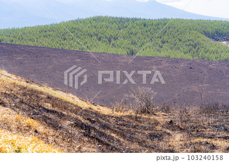 【災害イメージ】霧ケ峰高原の山火事跡【長野県】 【災害イメージ】霧ケ峰高原の山火事跡【長野県】 103240158