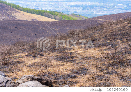 【災害イメージ】霧ケ峰高原の山火事跡【長野県】 103240160
