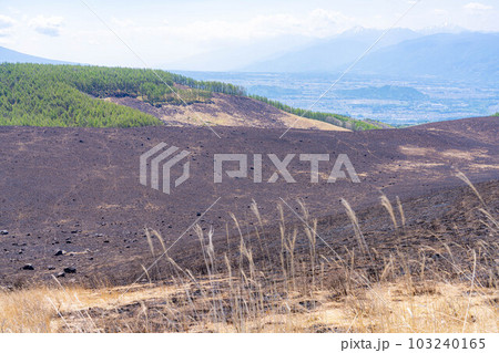 【災害イメージ】霧ケ峰高原の山火事跡【長野県】 103240165