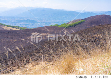 【災害イメージ】霧ケ峰高原の山火事跡【長野県】 【災害イメージ】霧ケ峰高原の山火事跡【長野県】 103240166