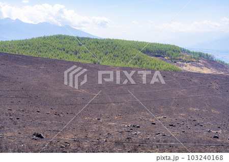【災害イメージ】霧ケ峰高原の山火事跡【長野県】 103240168