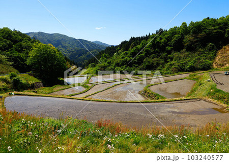 丸森町 大張沢尻棚田 丸森町 大張沢尻棚田 103240577
