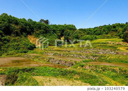 丸森町 大張沢尻棚田 丸森町 大張沢尻棚田 103240579