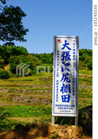 丸森町 大張沢尻棚田 丸森町 大張沢尻棚田 103240580