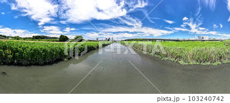 「埼玉県」ドローンで撮影した見沼田んぼの芝川 103240742