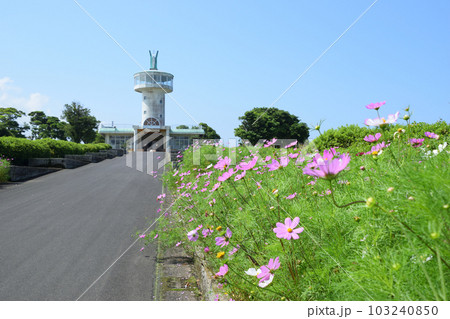 霧島ケ丘公園・展望台 103240850