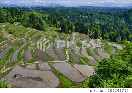 田植えの準備が始まった小千谷市外之沢の棚田 田植えの準備が始まった小千谷市外之沢の棚田 103241712