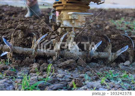 Farmer ploughs ground with tiller block while using motor cultivator to cultivate garden land Farmer ploughs ground with tiller block while using motor cultivator to cultivate garden land 103242378