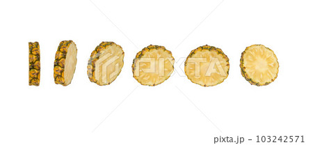 whole pineapple and pineapple slice. Pineapple with leaves isolated on transparent background with clipping path, single whole pineapple and pineapple slice. with clipping path and alpha channel. whole pineapple and pineapple slice. Pineapple with leaves isolated on transparent background with clipping path, single whole pineapple and pineapple slice. with clipping path and alpha channel. 103242571
