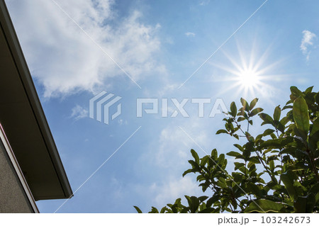 青空とまぶしい太陽 青空とまぶしい太陽 103242673