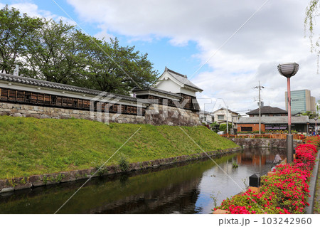 京都府長岡京市・勝龍寺城の水堀と隅櫓 京都府長岡京市・勝龍寺城の水堀と隅櫓 103242960