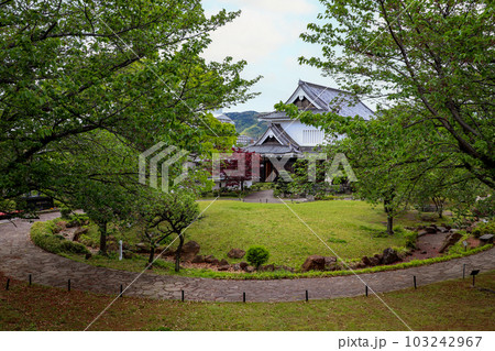 京都府長岡京市・勝竜寺城公園 京都府長岡京市・勝竜寺城公園 103242967