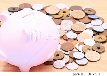 貯金、資産形成のイメージ(貯金箱と硬貨) 貯金、資産形成のイメージ(貯金箱と硬貨) 103243105