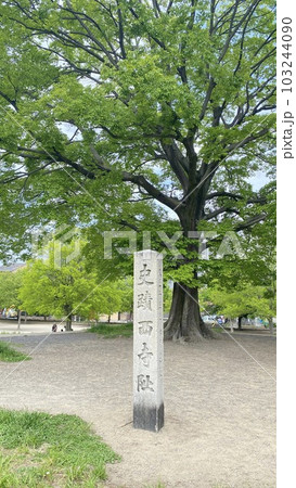 京都 西寺跡 京都 西寺跡 103244090
