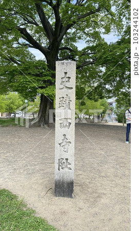 京都 西寺跡 京都 西寺跡 103244102