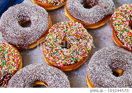 Variety donuts dark chocolate coated with sprinkles and jimmies and coconut shavings on others 103244570