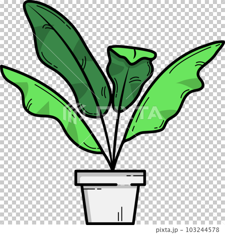 cute air purifying plants	 103244578