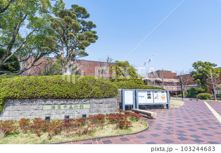 福岡県福岡市　快晴の福岡市美術館 103244683