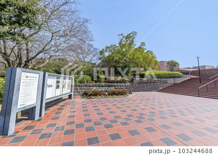 福岡県福岡市 快晴の福岡市美術館 福岡県福岡市 快晴の福岡市美術館 103244688