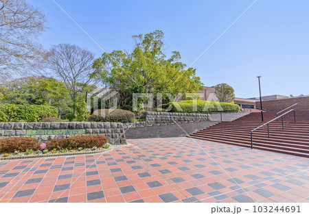 福岡県福岡市 快晴の福岡市美術館 福岡県福岡市 快晴の福岡市美術館 103244691