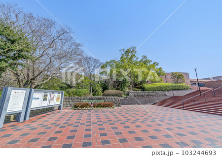福岡県福岡市　快晴の福岡市美術館 103244693