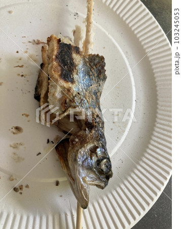 釣り堀のニジマスの食べかけ 釣り堀のニジマスの食べかけ 103245053