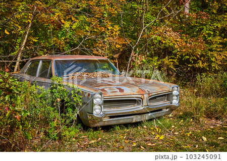 Rusted Pontiac car from side set in forest with fall leaves around 103245091