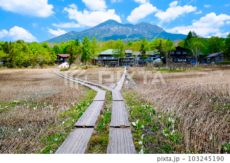 見晴の木道と燧ケ岳 見晴の木道と燧ケ岳 103245190
