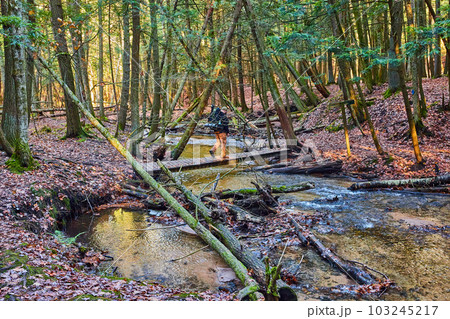 Hiker crossing small bridge over creek in forest during late fall 103245217