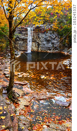 Fall vibes in forest with large waterfall going over cliff edge 103245337