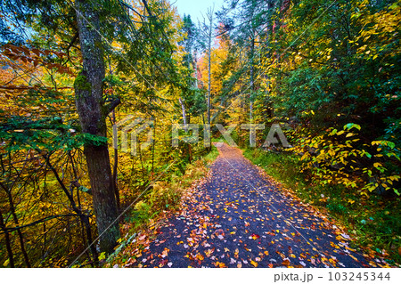 Fall hiking trail in New York park covered in colorful foliage 103245344