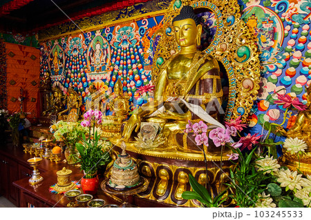 Shrine for Tibetan Mongolian Buddhist with ornate idols 103245533