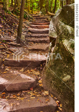 Stone steps with boulders in hiking trail winding up through fall forest Stone steps with boulders in hiking trail winding up through fall forest 103245666