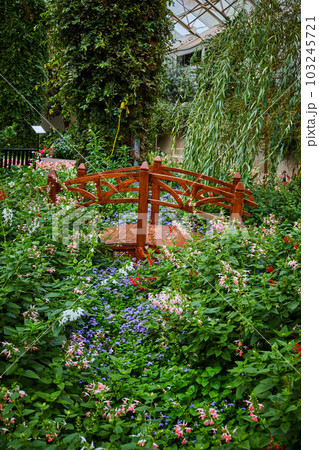 Small wood walking bridge over botanical gardens Small wood walking bridge over botanical gardens 103245721