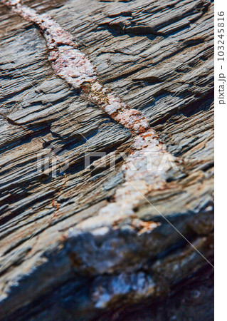 Macro of mineral quartz vein going through layers of rock 103245816