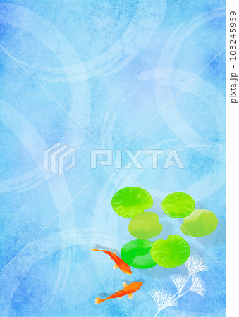 金魚と水草 和風 夏イメージ 103245959