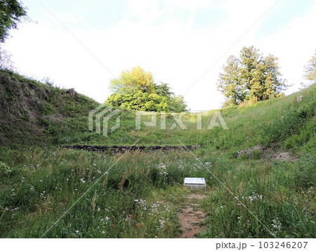 箕輪城　大堀切の土橋と復元石垣 103246207
