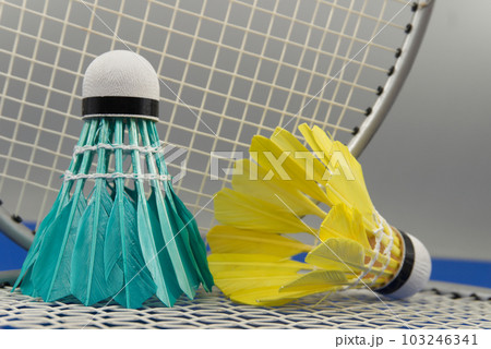Colorful shuttlecocks and badminton rackets 103246341