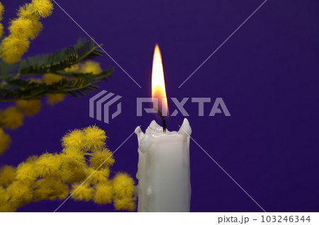 Candle flame and yellow mimosa flowers over blue Candle flame and yellow mimosa flowers over blue 103246344